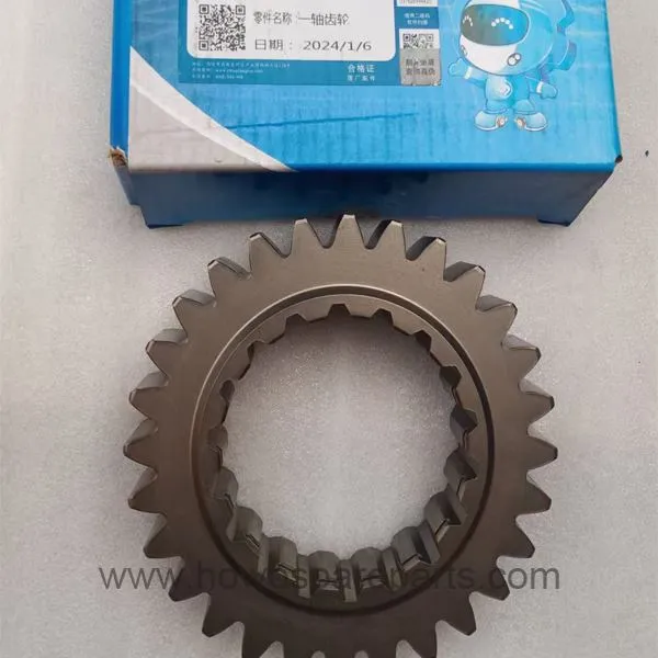 SHACMAN M3000 FAST Gearbox Input Shaft Gear 17568